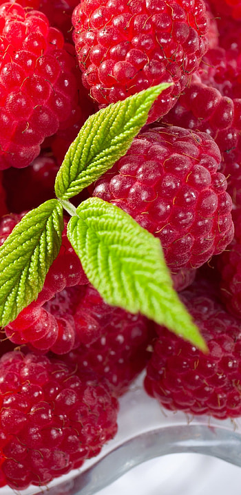 Food, Raspberry, Background HD phone wallpaper