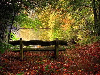 Landscape, Autumn HD wallpaper
