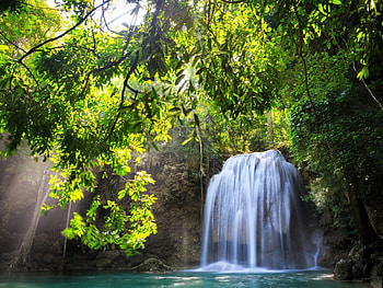 Waterfalls in the forest, river, waterfalls, forest, tree HD wallpaper