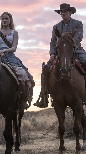 Westworld, Season 2, James Marsden, Evan Rachel Wood HD phone wallpaper