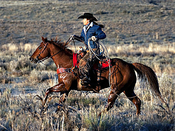 A Real Cowgirl on the Range, Riding, Horse, Cowgirl, Cowboy Hat HD wallpaper