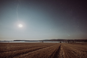 Night, Nature, Grass, Stars, Horizon, Starry Sky, Field HD wallpaper