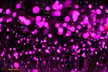 Abstract, Lilac, Violet, Glare, Circles, Purple, Boquet, Bokeh HD wallpaper