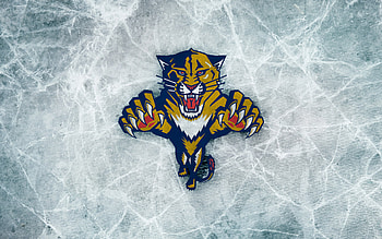 Florida Panthers Logo - 636684 HD wallpaper