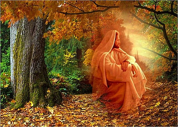 Meditation, god, jesus, autumn, christ, forest, religion, christianity, tree HD wallpaper
