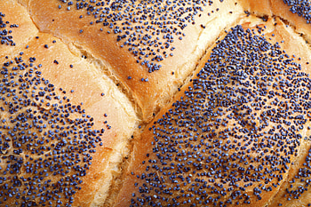 Poppy Seeds, Medicinal properties, Side effects, Culinary uses HD wallpaper