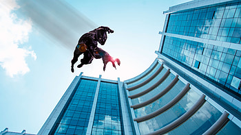Black Panther Jumping From The Building, black-panther, superheroes HD wallpaper