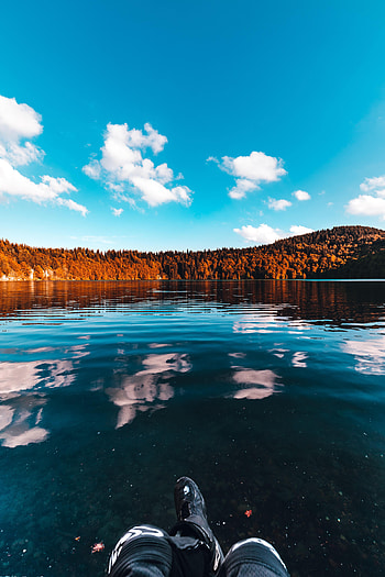 Nature, Trees, Sky, Ice, Lake, Forest HD phone wallpaper