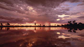 Okavango Delta, Stormy skies, Wildlife sanctuary, Dramatic atmosphere HD wallpaper