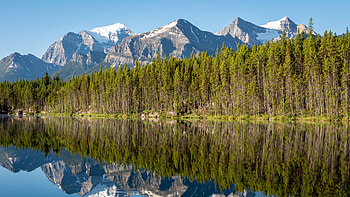 Beautiful Scenery Green Leaves Trees Rock Mountains With Snow Under Blue Sky Reflection On Lake Nature HD wallpaper