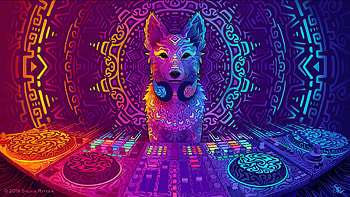 Disco dingo dog HD wallpaper