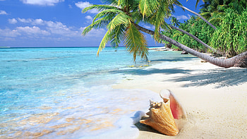 Beach Ultra , Aleshia Foley HD wallpaper