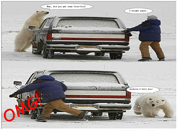 BYE~ PEPSI UNCLE~, coca, die, pepsi, polar bear, bye HD wallpaper