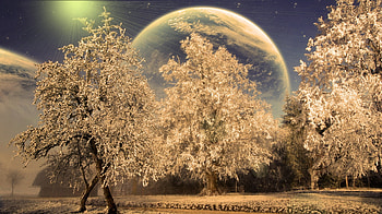 Full Moon, winter, night, full, moon, nature HD wallpaper