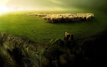 Near the cliff, grass, summer, twilight, mist, fog, green, sheep, ravine, fields, nature, cliff HD wallpaper