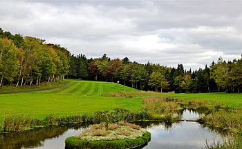 Golf Course, fun, field, nature, forest, lake HD wallpaper