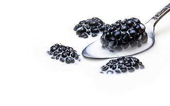 Blackberry, , backgrounds, Nature-inspired HD wallpaper