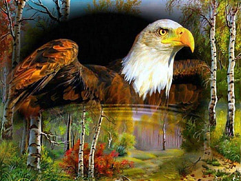 Eagle Pond, animal, abstract, eagle, bird, fantasy, trees, pond HD wallpaper