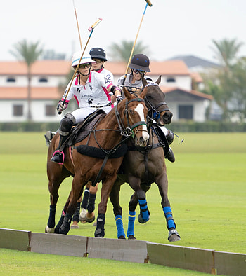 Stage Hill vs CrossFit El Cid, Horse Polo HD phone wallpaper