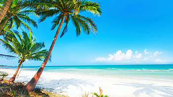 Tropical Paradise, sand, water, palm trees, sea, clouds, sky HD wallpaper