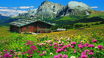 Flowers in the mountains, wildflowers, landscape, clouds, Dolomites, trees, Italy, sky, cabin HD wallpaper