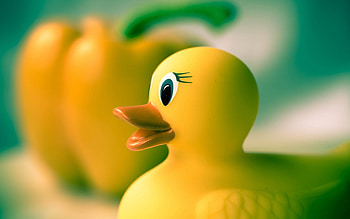 Pato goma amarillo juguete | | 866330 | UP HD wallpaper