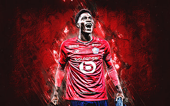 Amadou Onana, soccer, football, lille HD wallpaper