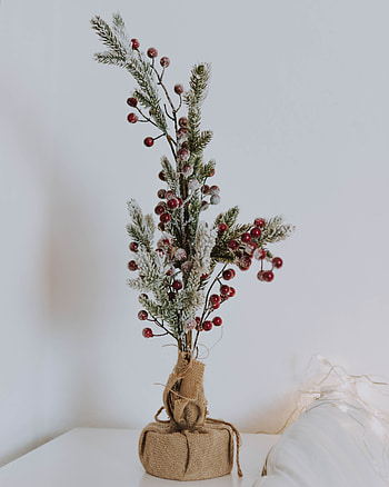 Holidays, New Year, Berries, Christmas, Branch, Needles HD phone wallpaper