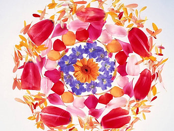 Pedastal Bouquet, art, petals, flower HD wallpaper