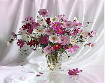 Purple shades, purple, lavender, vase, beautiful, flowers, silk HD wallpaper