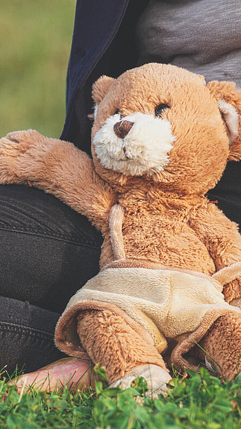 Teddy Wale, Funny, Cute Teddy HD phone wallpaper