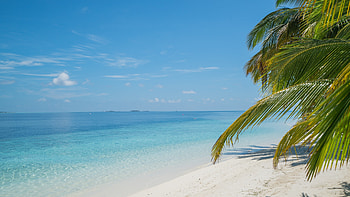 Tropical Summer Beach, landscape, nature, tropical, beaches, sand HD wallpaper