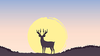 Deer At Sunset Minimal , deer, minimalism, minimalist, sunset, artist, artwork, digital-art HD wallpaper