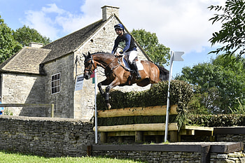 eventing , Equestrian sports, Eventing, Horse HD wallpaper