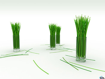 Grass, Objects, Tablewares HD wallpaper