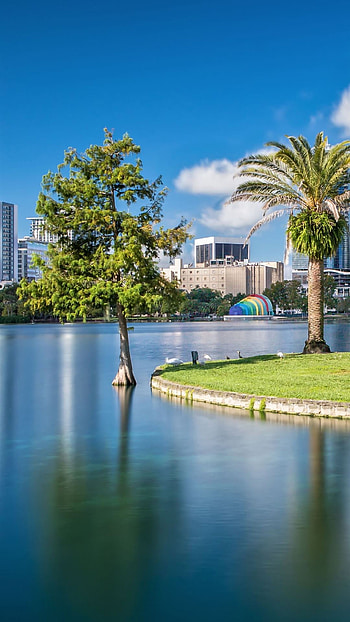 Orlando, Skyline, Travels, Florida HD phone wallpaper