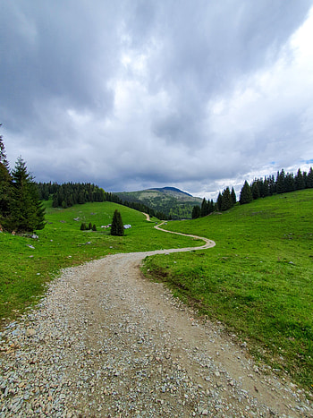Nature, Trees, Grass, Mountain, Path, Dahl, Distance HD phone wallpaper