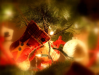 Waiting for Santa, trees, holidays, xmas, christmas HD wallpaper