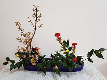 Ikebana, Nature, Flower arrangement, Plants HD wallpaper