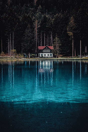 A que house by a serene lake surrounded by lush forest reflecting in the clear blue water. HD phone wallpaper
