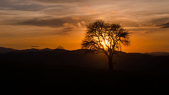 Tree Branches Sunset Silhouette Dark Background Hills Clouds Sky Dark Background HD wallpaper