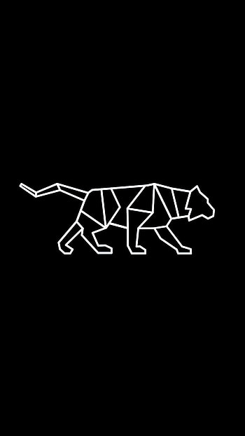 Tiger, animal, hayvanlar, kaplan HD phone wallpaper