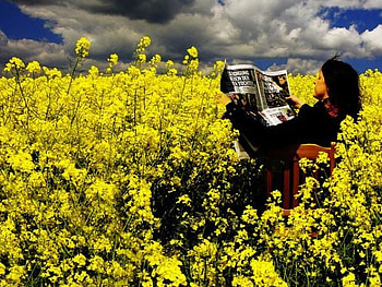 Girl in Flower, in flower, , yellow, cool, girl HD wallpaper