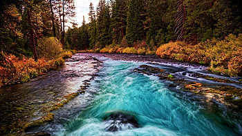 Wizard Falls on the Metolius River in Oregon, river, trees, autumn, landscape, forest, usa, stones HD wallpaper