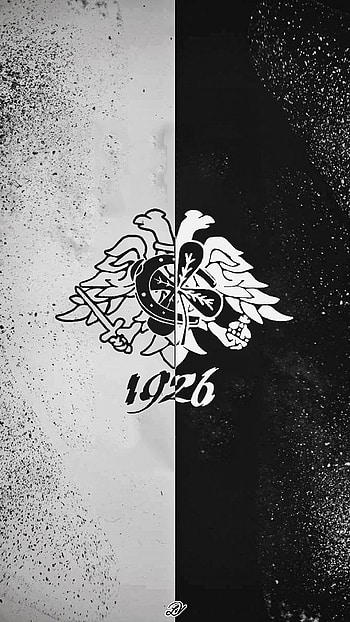 PAOK FC, paokfans, thessaloniki, paokfc, paokg4, blackandwhite, greece, eagle, ultras, emblem HD phone wallpaper