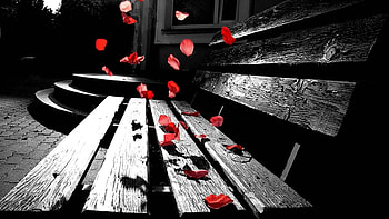 Objects HD wallpaper