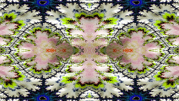 Trippy Psychedelic Fractal, trippy, psychedelic, aesthetic, Abstract, fractal HD wallpaper