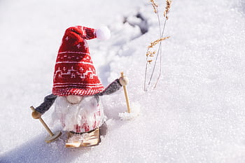 Adorable gnome figurine skiing through fresh snow, capturing the essence of winter fun. HD wallpaper