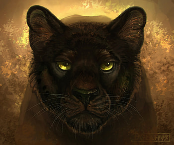 Art, Predator, Sight, Opinion, Panther HD wallpaper