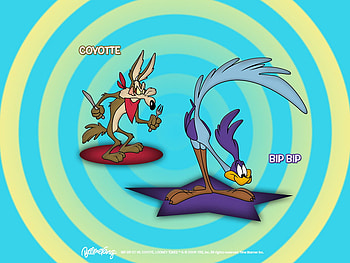 THE ROADRUNNER&WILE COYOTE, wile coyote, cartoon, roadrunner, looneytunes HD wallpaper